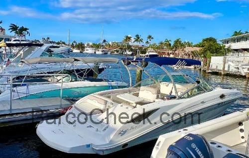 Sea Ray 300 Sundeck ficha tecnica